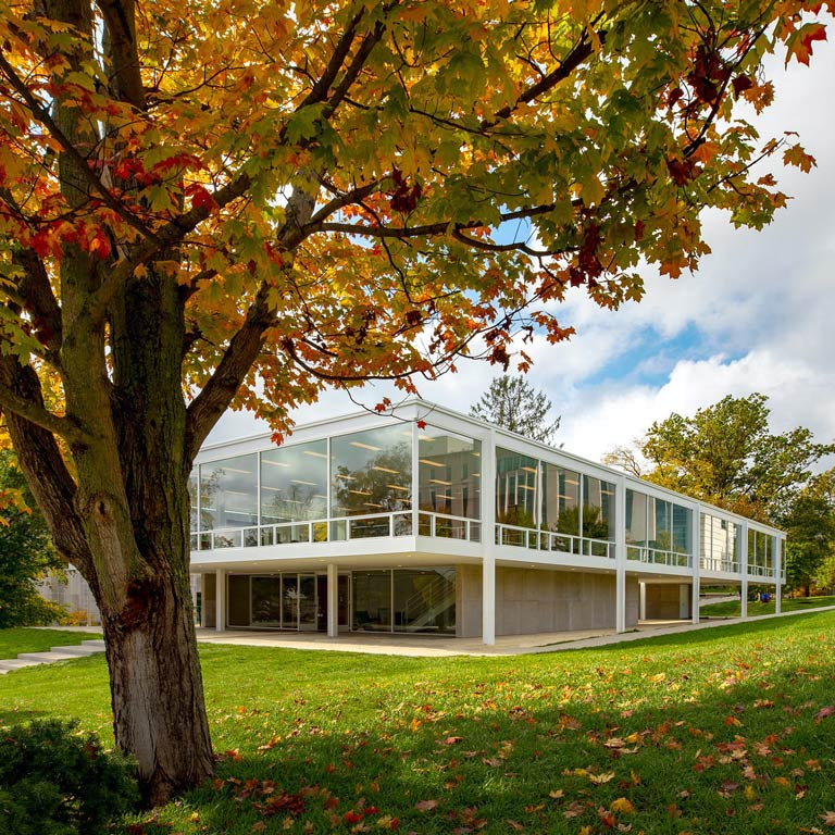 A photo of the Mies van der Rohe building exterior in fall. 